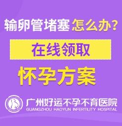 广州不孕不育医院评论,广州不孕不育医院：为家庭带来希望，为患者送去温暖