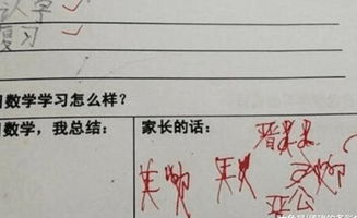 小学生模仿家长签名, 弄巧成拙, 真的是签的家长的名字 