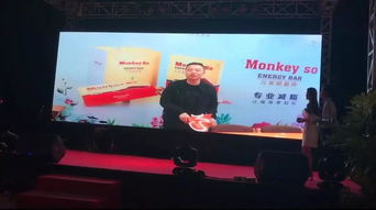 MonkeySo巴厘岛行,去感受世界,也让世界感受你 团队 