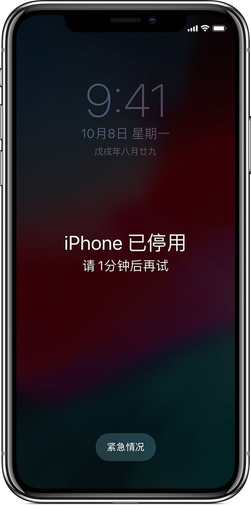 iPhone 经常出现 已停用 是什么原因