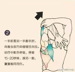 一套动作拉伸全身,清晰彩图 