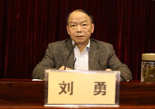 省局召开干部大会宣布国家税务总局党组关于湖北省局主要负责人职务任免的决定 