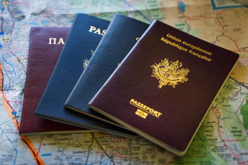 世界公民护照是什么,什么是世界公民护照