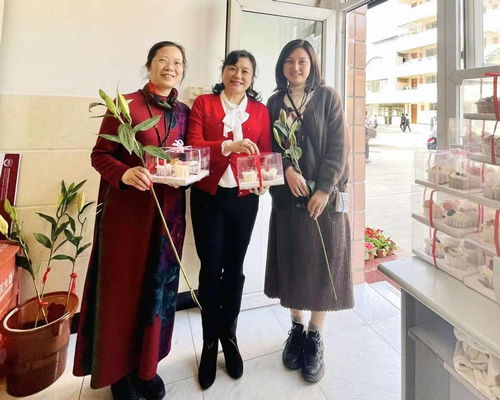 成都女子职业学校现在改成什么学校