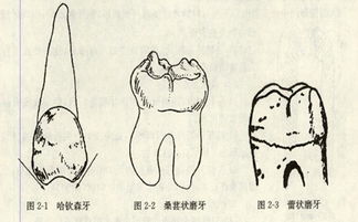 梅毒TRRA1:80是什么意思