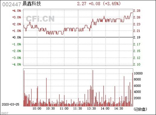 002447 晨鑫科技,多元化发展下的创新与挑战