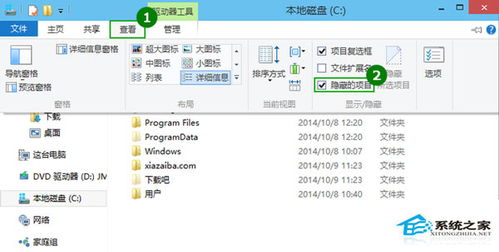 win10隐藏文件设置用不了