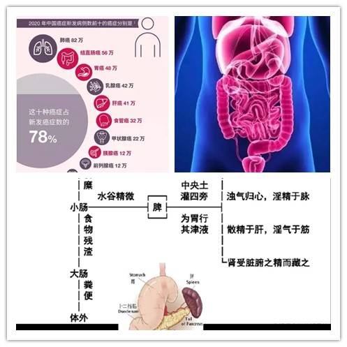 中医香疗在脾胃系统的应用研究 上 2021芳香展实录