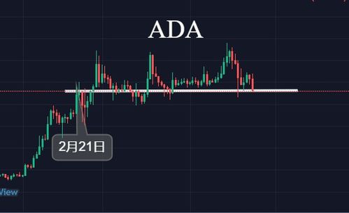 dot币未来价格线,达克币日后会涨到多少？