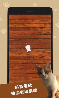 逗猫神器app下载 逗猫神器手机版下载 手机逗猫神器下载 