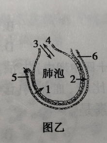 图中的3 4代表什么 