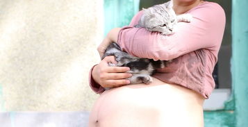 怀孕and养猫 