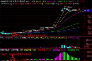 达势股份早盘涨幅接近12%，机构建议在低点时布局优质食饮板块