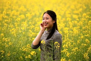 油菜花原来能吃 斗门有美丽的花田,不只好看还美味 