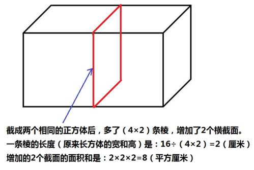 正方体的表面积怎么算公式,正方形表面积公式-第3张图片