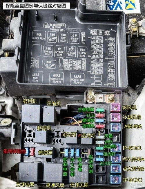 查询汽车保险丝位置的软件如何查找汽车空调保险丝位置 