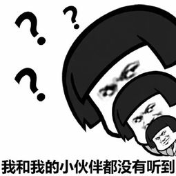 你说什么你再说一遍表情包