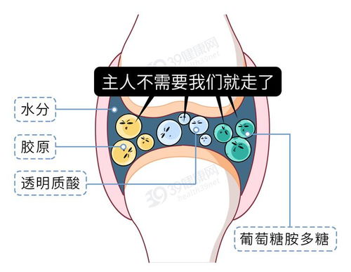 膝盖一转就响,可能是瘫痪前兆