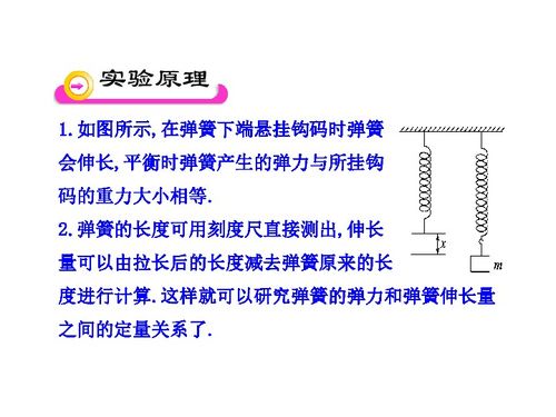 物理多媒体教学课件 3.实验 探究弹力和弹簧伸长的关系 人教版必修1 下载 物理 21世纪教育网 