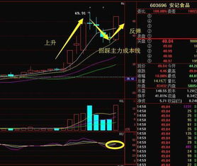 水泥板块的龙头是谁？主要包括那些股票？