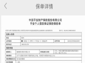 自己有一万元.担保比例是160%最多可以借入多少.