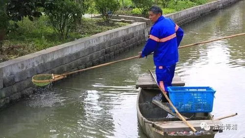 乡村治理中的农村公共服务设施完善,农村治理的公共服务设施更加完善。(2)