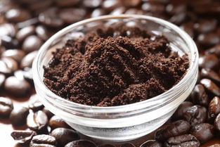 咖啡渣养花的正确方法(咖啡渣如何发酵成花肥)
