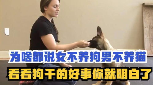 为啥都说女不养狗男不养猫,看看狗干的好事,就明白了 