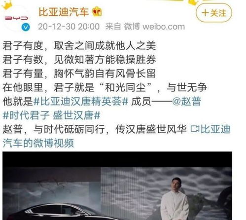 比亚迪请赵普做形象代言人,为什么反对声音这么大?,为什么越来越多的大佬支持比亚迪？-第4张图片