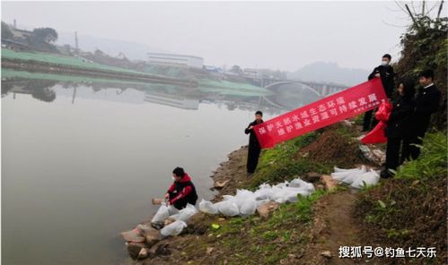 可视锚鱼频 翻车 ,另类钓鱼方式被多地禁止 仍有人顶风作案