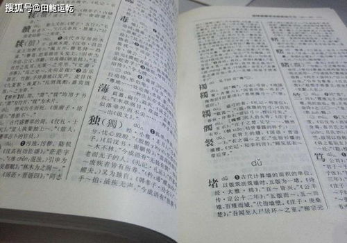 大学男生给自己改名,或成 全国唯一 ,孩子 我爸喜欢历史