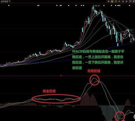 W底择股的技巧是什么