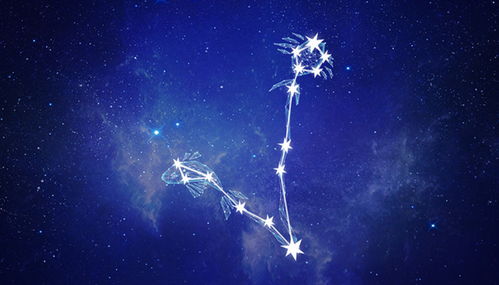 天蝎座一生最爱的星座,天蝎座一生最爱的星座是什么