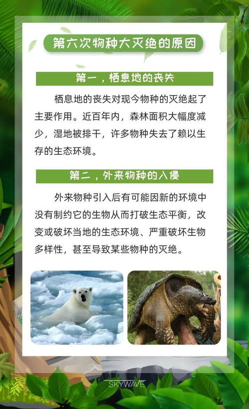 科普期刊 生物科技系列之物种的灭绝与拯救