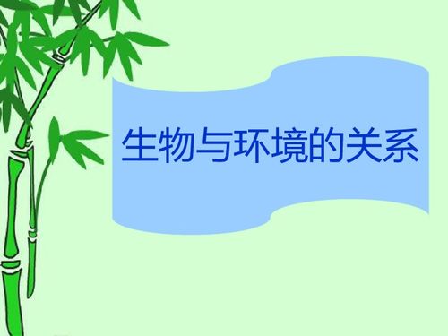 第一单元 第2章第一节生物与环境的关系教学课件 28张PPT 