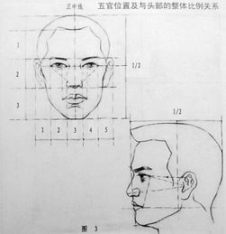 素描人头像的步骤和比例是什么啊？