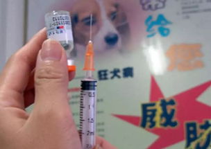 周知丨省疾控中心 全省各接种点已停止使用长春长生狂犬病疫苗 