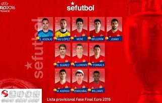 欧洲杯2016西班牙大名单,欧洲杯西班牙的首发阵容有谁