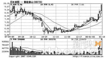 某日股市行情： 项目 开盘价（元） 收盘价（元） 鲁能泰山 15.00 16.00 吉林敖东 20.50