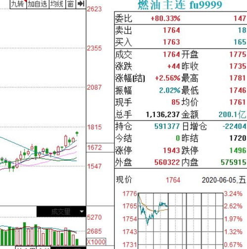 股神耻辱 特朗普怒吼 聪明一世 糊涂一时