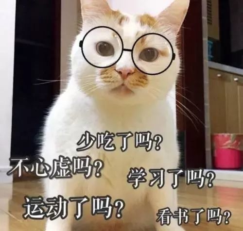 猫咪为什么要磨爪子 你家猫咪最喜欢抓什么 