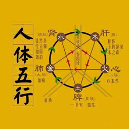 与我们息息相关的五行,究竟有多少内涵 