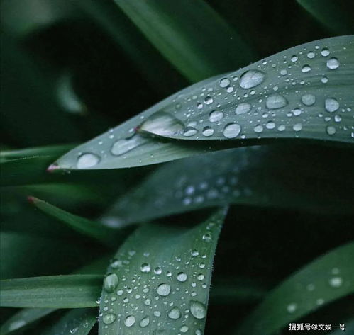 那些年 错不过 的大雨 内附雨天手机拍照小技巧