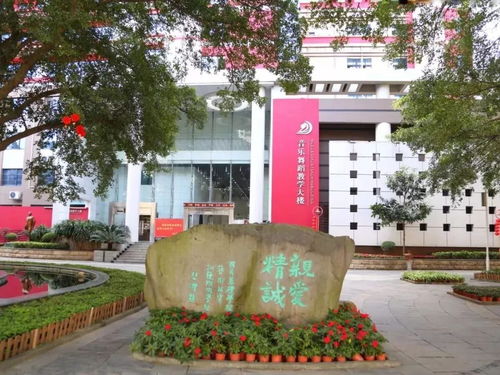 南美洲有什么艺术学校吗,多伦多国际学院的介绍