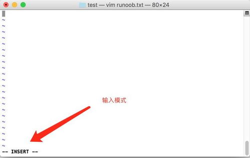 linux vi没找到文件,Liux Vim：文件丢失，原来是这么回事！