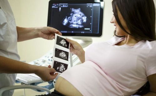 原创胎儿在妈妈肚子里在哪个月份长得最快？