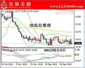 【专家求助】股票、外汇、基金、黄金、白银、期货、债券、信托、保险、房地产，除了这10个还有什么？