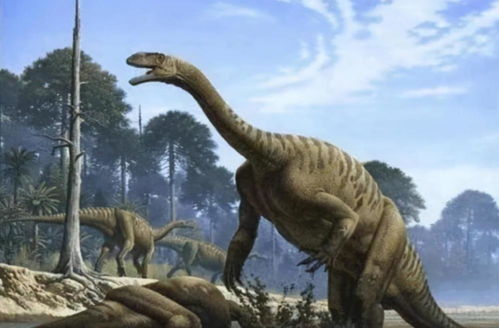 恐龙不是太大就是太小 那些中型恐龙都去哪了