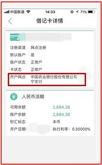 如何使用农行金钥匙查询余额明细？