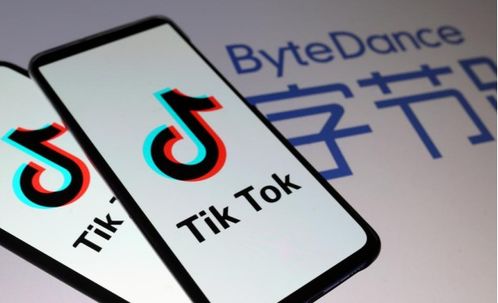 网红营销为什么选 TikTok_tiktok刷粉软件